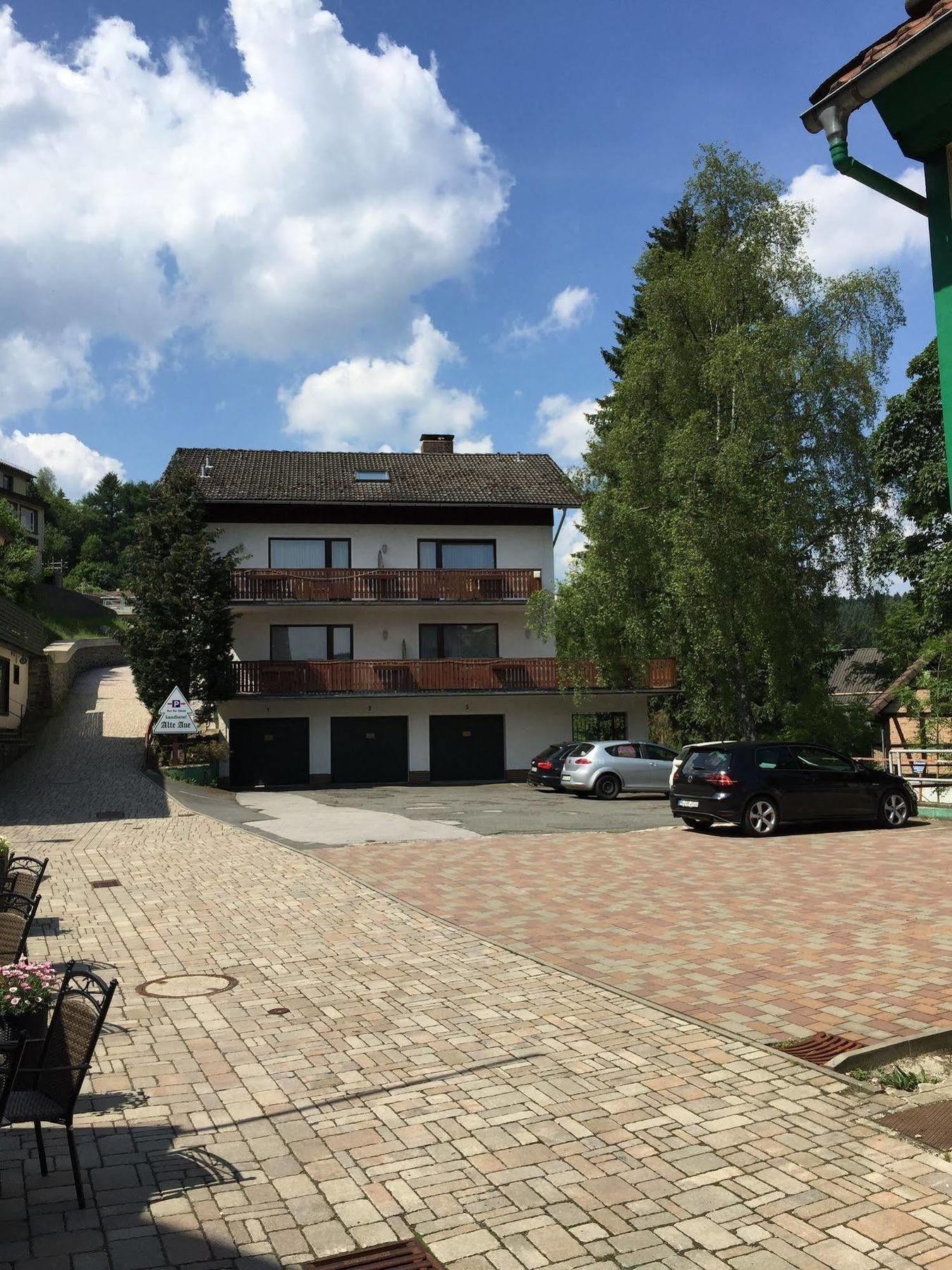 Landhotel Alte Aue Altenau  Esterno foto